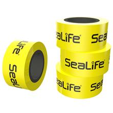 Sealife : Picture 1 regular