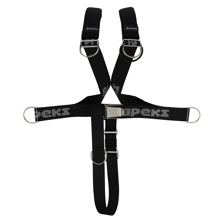 Apeks One-Piece Webbed Harness Picture