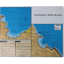 Trident Catalina Dive Slate Picture