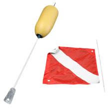 Aqua Deluxe Flag & Float Combo Picture