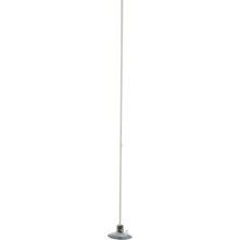 Suction Cup with 3' (91.4cm) D Picture