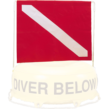 Innovative Replacement Flag an Picture