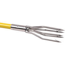 Trident Lionfish Polespear Picture