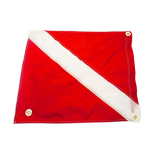 Aqua Nylon Dive Flag with Stif Picture