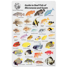 Micronesia & Guam Fish I.D. Ca Picture