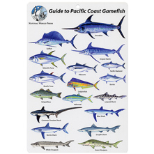 Pacific Game Fishes Fish I.D.  Picture