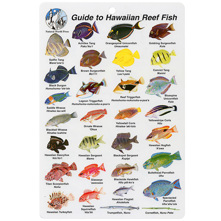 Hawaii Fish I.D. Card Picture