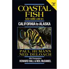 Coastal Fish Identification Ca Picture