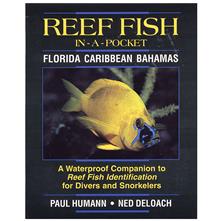 New World Publications Reef Fi Picture