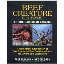 New World Publications Reef Cr Picture