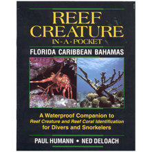Reef Creatures In-A-Pocket Flo Picture