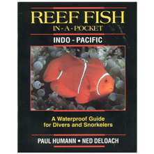 Reef Fish In-A-Pocket, Tropica Picture