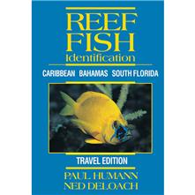 New World Publications Reef Fi Picture