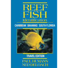 Reef Fish Identification Trave Picture
