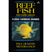 New World Publications Reef Fi Picture