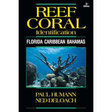 New World Publications Reef Co Picture