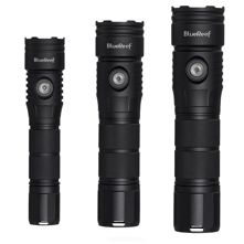 Blue Reef 1200 Lumens, 2000 Lu Picture