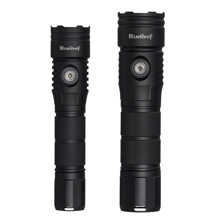 Blue Reef 1200 Lumens & 2000 L Picture