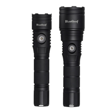 Blue Reef 1200 Lumens & 3000 L Picture