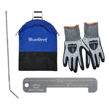 Blue Reef Basic Florida Lobste Picture
