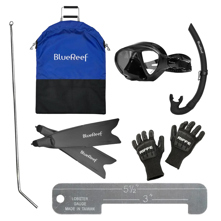 Blue Reef Ultimate Florida Lob Picture
