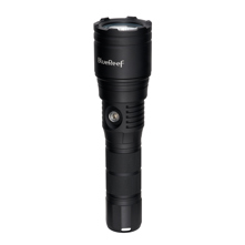 Blue Reef 3000 Lumens Zoomable Picture