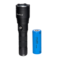 Blue Reef 3000 Lumens Zoomable Picture