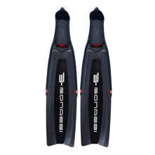 Bonassi Wahoo Spearfishing & F Picture