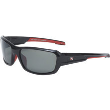 Dive Shades Caribbean II Speci Picture