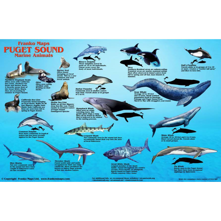 Franko Maps Puget Sound Marine Picture