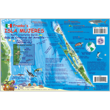 Franko Maps Isla Mujeres Reef Picture