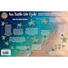 Franko Maps, Sea Turtles Life Picture