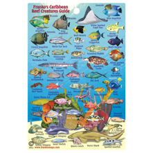 Franko Maps, Caribbean Sea Min Picture