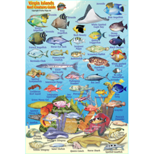 Franko Maps Virgin Islands Min Picture