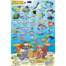 Franko Maps Turks & Caicos Min Picture