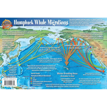 Franko Maps Pacific Humpback W Picture