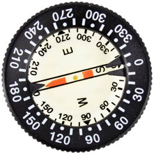 Genesis Compass Picture