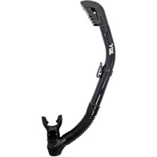 Genesis Via Snorkel Picture