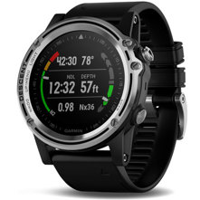 Garmin Descent Mk1 Stainless w Picture