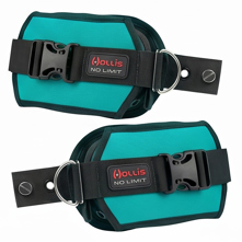 Hollis Custom LX2 Weight Syste Picture