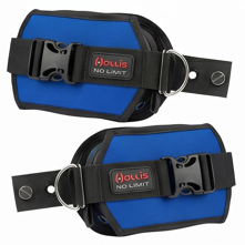 Hollis Custom LX2 Weight Syste Picture