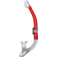 Mares Ergo Dry Snorkel Picture