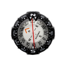 Oceanic Maxview Compass Module Picture