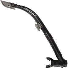 Oceanic Arid Snorkel Picture