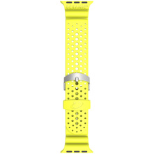 Oceanic+ Strap Kit for Apple W Picture