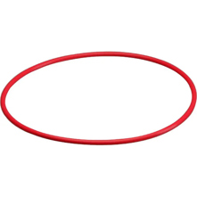 Olympus POL-053 O-ring for PT- Picture