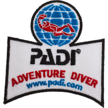 Padi : Picture 1 regular