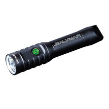 Salvimar Blast 1200 Lumens Div Picture