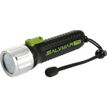 Salvimar LECOLED 340 Lumens Di Picture