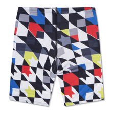 Speedo Print Boy's Jammer Picture